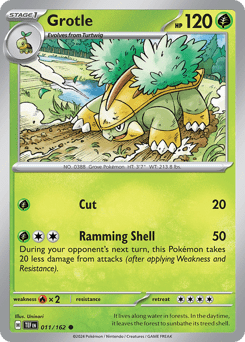 Grotle (Common)