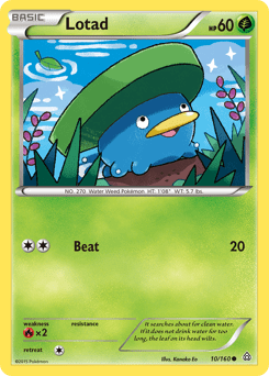 Lotad (Common)