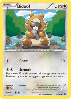 Bidoof (Common)