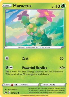 Maractus (Common)