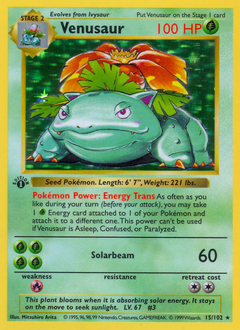 Venusaur (Holo Rare)